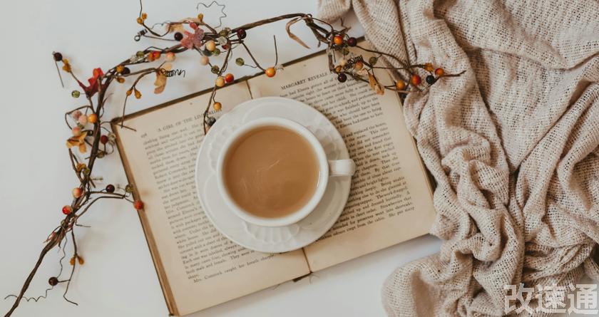 改速通,改速通官网,论文查重论文降重