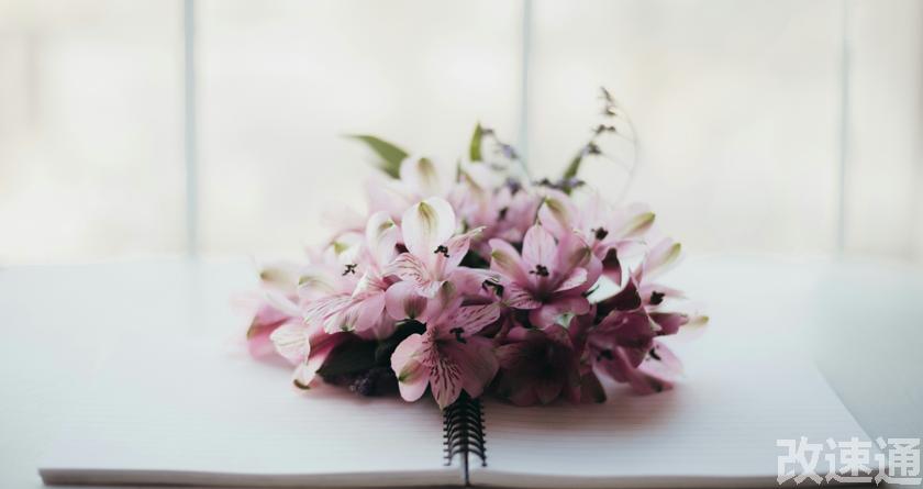 改速通,改速通官网,论文查重论文降重